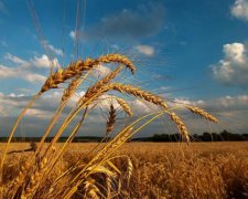 Євстигній Житник: повір'я і прикмети