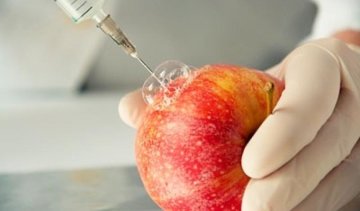 Торговые точки скроют наличие ГМО в продуктах