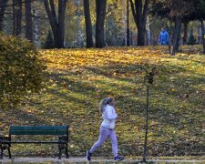 Осень, фото: Unian