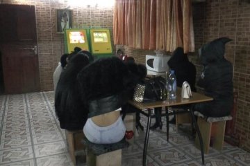 Копи накрили бордель "для гостей Євробачення"