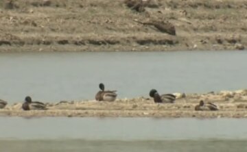 В Крыму начались проблемы с водой, скриншот из видео