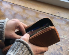 Гаманець, гроші. Фото: скрін youtube