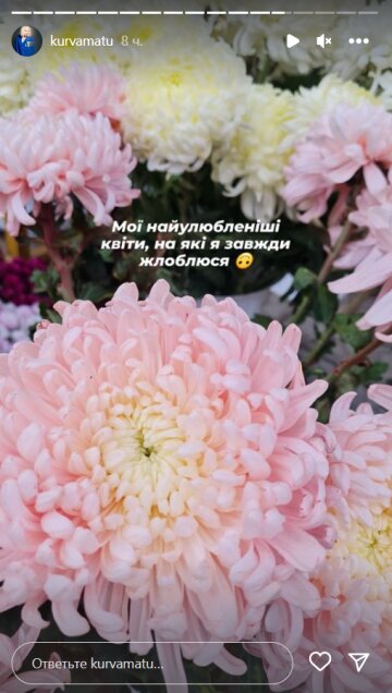 Stories Монро, скриншот: Instagram