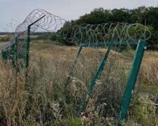 "Стіна Яценюка". Фото: скриншот з відео