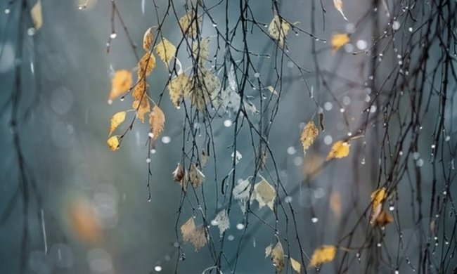 Погода на 18 жовтня: синоптик порадила не ховати шапки і светри