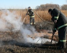 На Чернігівщині спалахнули торфовища