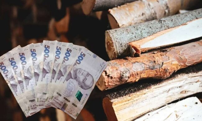 Фінансова допомога ВПО на опалення взимку