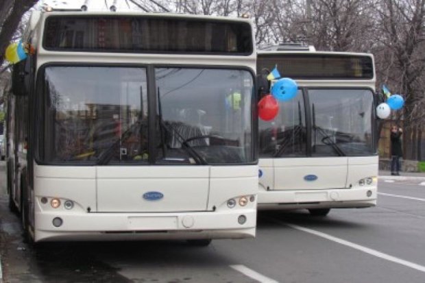 "Південмаш", попри кризу, поновив виготовлення тролейбусів