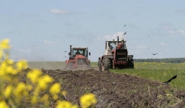  Посівна в Україні подорожчає на третину