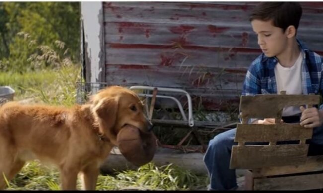 У мережі з'явився трейлер нового фільму від творця "Хатіко"