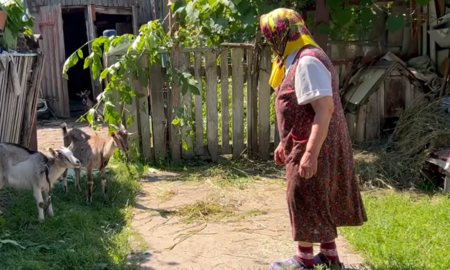 Пенсионерка. Фото: скрин youtube