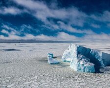 "Плавання між льодом і айсбергами в морі, Антарктика" Фото: Gonzalo Bertolotto / via WMO
