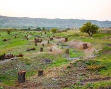 Карабах, фото: youtube