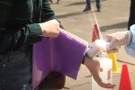 Вимірювання температури, скриншот youtube ТСН