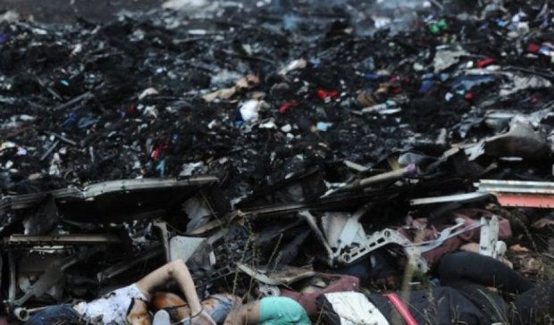 Голландский полицейский торговал вещами из сбитого над Украиной Boeing (фото)
