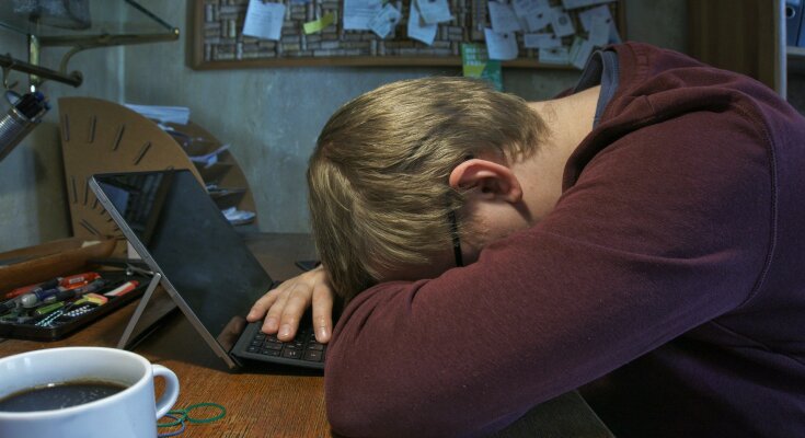 Школяр / фото: Pixabay