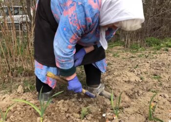 Пенсіонерка, скріншот відео