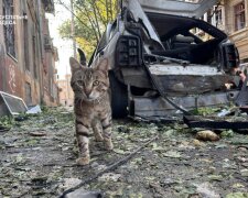 наслідки масованого удару по Одесі 10.06.2025