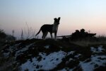 Зона ООС, фото: Unian