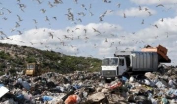 Грибовическую свалку подожгли намеренно