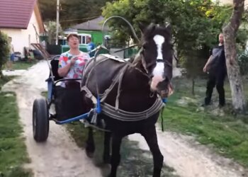 Скриншот YouTube