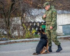 Окровавленный и босой: в Днепре посреди улицы обнаружили труп 30-летнего парня