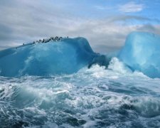 В пещерах Антарктиды нашли затерянный мир