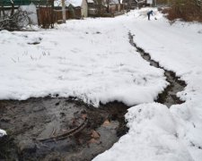 Під Києвом утворилось отруйне болото з нечистот