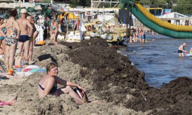 На Крим звалилася смердюча напасть