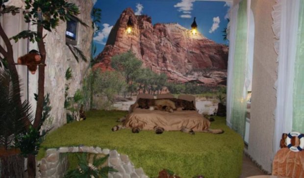 "Уманский Маугли" показал джунгли в квартире (фото)