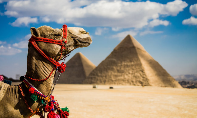 В Египте нашли древнейшее кладбище с уцелевшими надгробиями