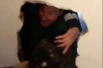 Скрин, видео YouTube собака
