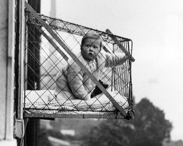 Клітка для малюків, фото: telegra.ph