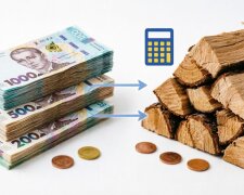 Денежная помощь на оплату отопления в Украине