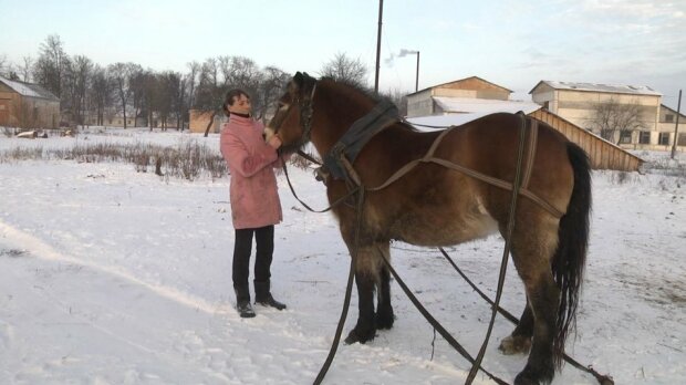 Хвостатый "трактор" Зорька спасает украинцев от снега, лучшая помощница: "С нами уже три года"