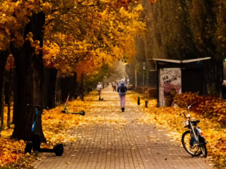 Украинцы, осень, фото из соцсетей