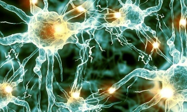 Найдена причина психических расстройств