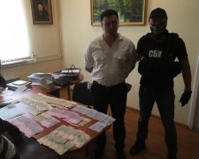 Чиновник требовал у беременной женщины взятку в 10 тысяч гривен