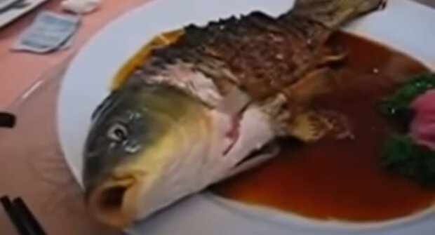 Рыба "Инь и Янь", скриншот: Youtube