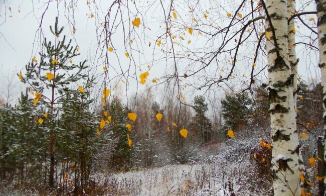 Погода в Україні, фото: ФотоКто