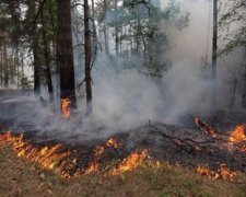 Рятувальники оприлюднили відео пожежі в Чорнобилі