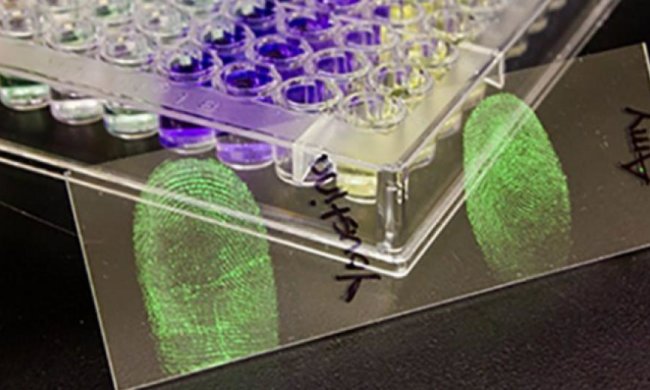 Стать злочинців визначатимуть  за відбитками пальців