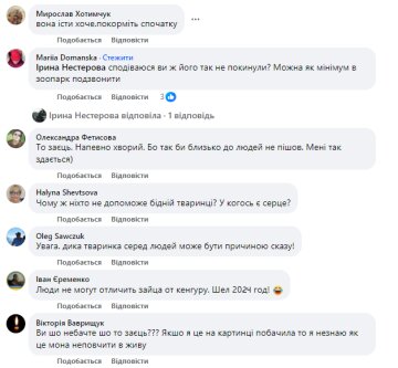 Коментарі до публікації, скріншот: Facebook