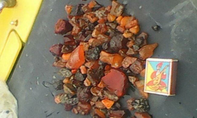 Пограничники на Житомирщине конфисковали 4,5 кг янтаря (фото)