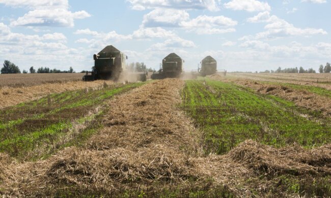 збір урожаю, фото: Уніан