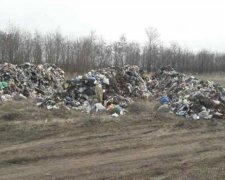 Копи полюють на невідомих "сміттярів"