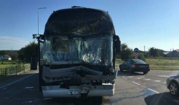Автобус з миколаївськими школярами потрапив у ДТП
