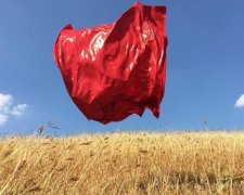 ТОП-16 лучших снимков, сделанных на iPhone (фото)