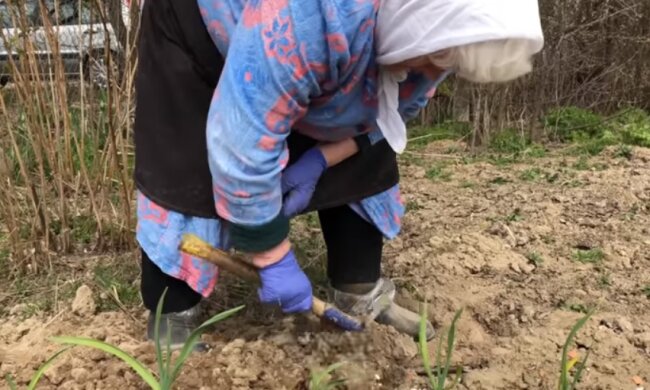 Пенсіонерка, скріншот відео