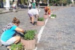 Посеред Інститутської посадили чорнобривці (фото)